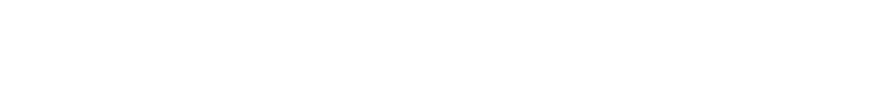 LehighDaily.com