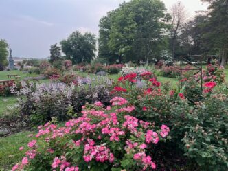 bethlehem rose garden