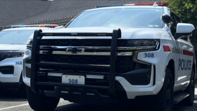 south whitehall township police dept