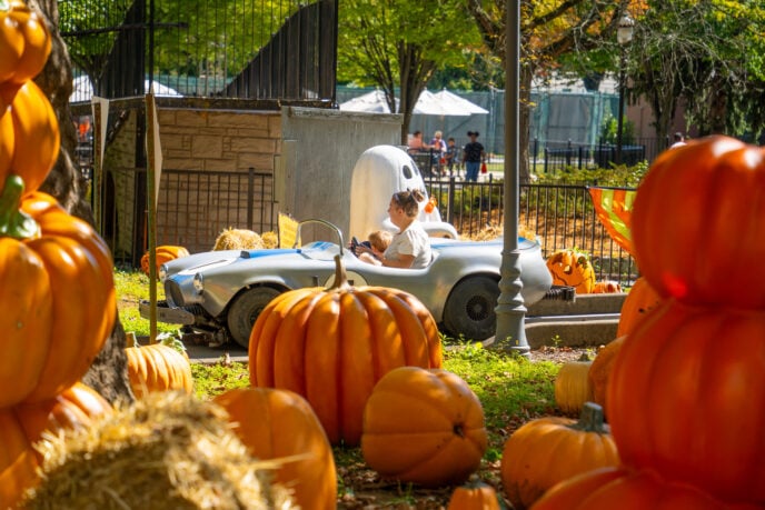 dorney park trick or treats halloween