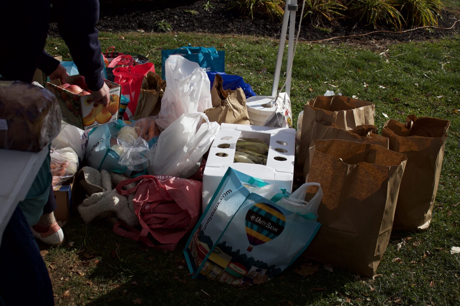 easton food drive snap donations councilman pintabone crystal rose